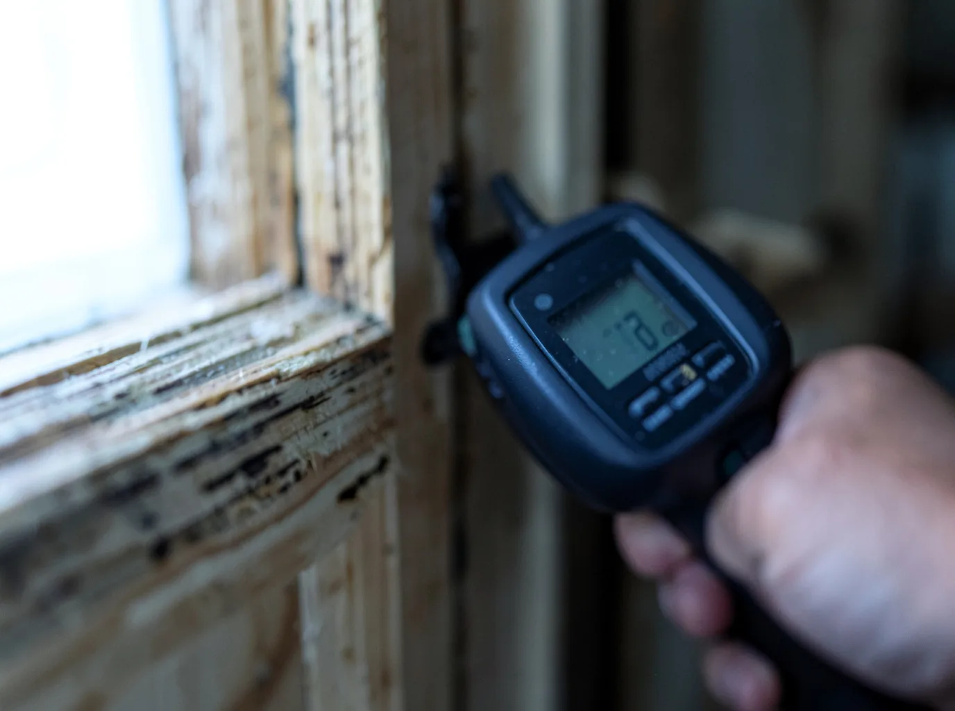 Moisture Inspection And Documentation in Denmark, SC